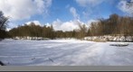 "Goose leg pond" (Ganzepootvijver) in winter