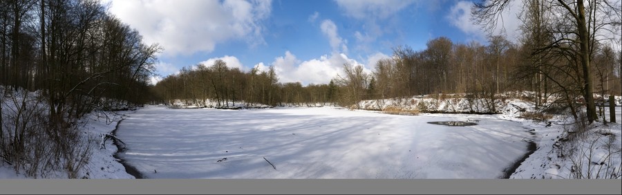 125597-900x282