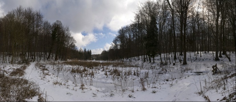 125599-829x360