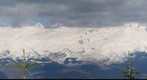View of Tymfi from Mitsikeli