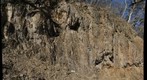 "Cub Sandstone" (Uppermost Martinsburg Formation), near Catherine Furnace, Virginia