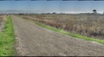 Alviso