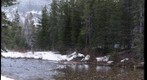 Cameron Creek in Waterton Lakes National Park, Alberta