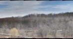 SF Wetlands