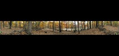 12595-400x189