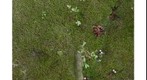 garden_2