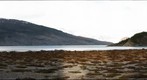Ainsworth Bay 2