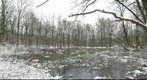 Poel 