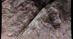 Closer look at the K/T Boundary. Gubbio, Italy