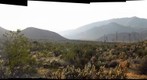 Desert Garden LEFT image