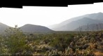 Desert Garden RIGHT image