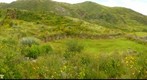 Inca acqueduct and unrestored ruins at Tipon