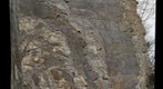 Martinsburg Formation, South Page Valley Road, Page County, Virginia