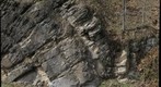 Martinsburg Formation, South Page Valley Road, Page County, Virginia