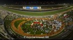 Dubai World Cup 2013 | Animal Kingdom