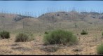 Tehachapi Windfarm