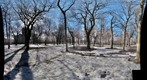 Parc Lafontaine au printemps (spring)