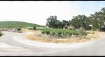 Tablas Creek Winery 1