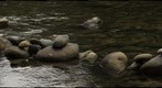 River Rocks
