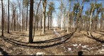 Dairy Bush GigaPan - 186 – March 29 2013