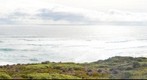 Moses Rock