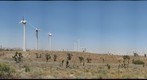 Mohave Wind Turbines