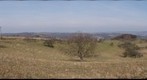 Still no Springtime in Germany