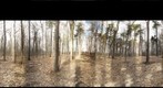 Dairy Bush GigaPan - 187 – March 29 2013