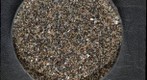 Sand from Ocean Beach, San Francisco, CA