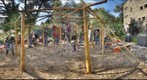 Bamboo Jer 40