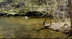 Lake Catherine State Park