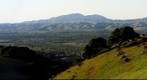 Oaks and Mount Diablo RIGHT side of a stereo pair