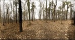 Dairy Bush GigaPan - 188 – April 09 2013