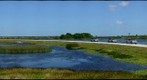 Viera Wetlands