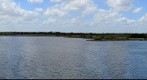 Viera Wetlands #2