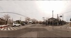 福島県:双葉郡:富岡町:夜ノ森:桜:SAKURA:サクラ