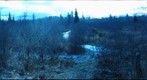 Charlie's Land