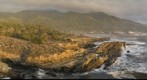 Point Lobos State Reserve, California