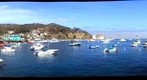 Avalon, Catalina Island, CA - Avalon Harbor from the Boat Landing