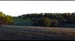 Sierra Foothills