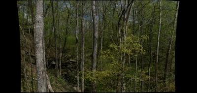 127490-400x189