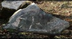 Contact between Fauquier Formation marble and Catoctin Formation greenstone, near Lime Kiln Road, Virginia