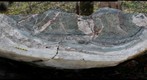 Contact between Fauquier Formation marble and Catoctin Formation greenstone, near Lime Kiln Road, Virginia