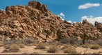 JTNP Rocks