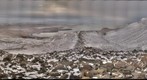 Mount Esja Iceland
