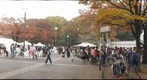 Tokyo Dance Music Festival