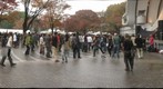 Tokyo Dance Music Festival