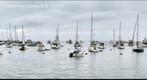 Avalon Harbor Boats_Catalina Island _California_CA_G3-60_159x523_4-13-13
