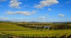 Yarrawood Winery, Yarra Glen, Victoria, Australia: Apr 16, 2013
