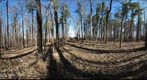 Dairy Bush GigaPan - 189 – April 17 2013